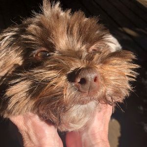 Meet your Posher, Meg